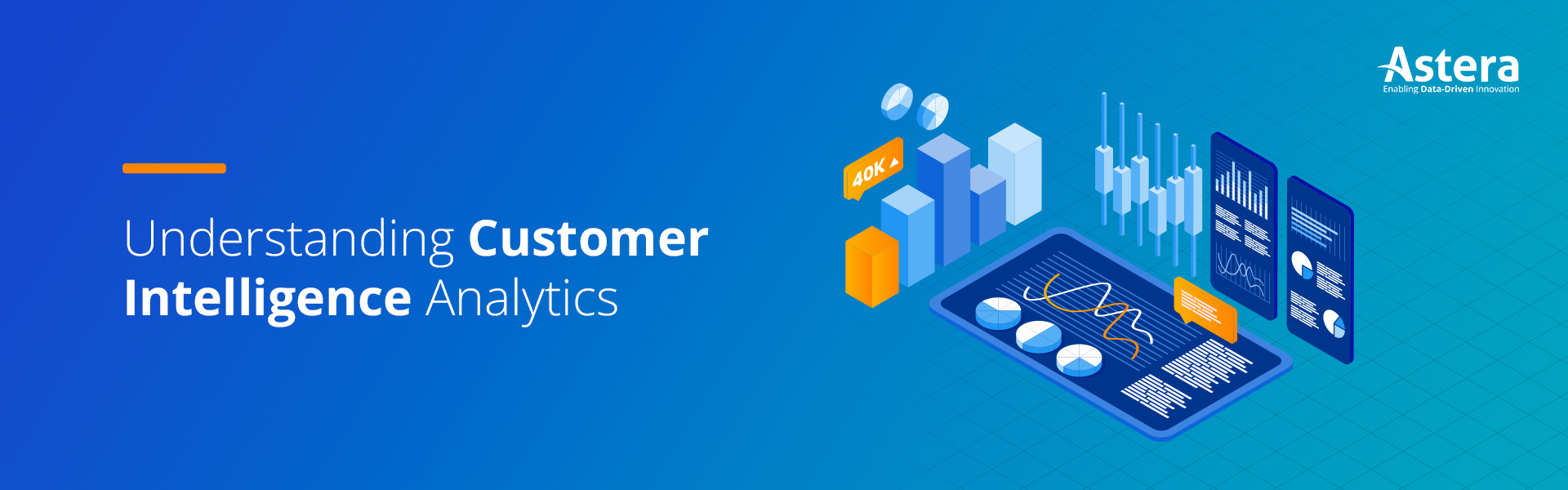 Customer Intelligence Analytics